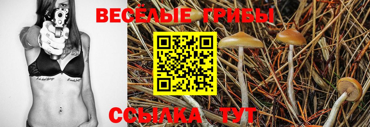 Воскресенск  Псилоцибиновые грибы Psilocybe  Вход с VPN  Псилоцибиновые грибы Cubensis 
