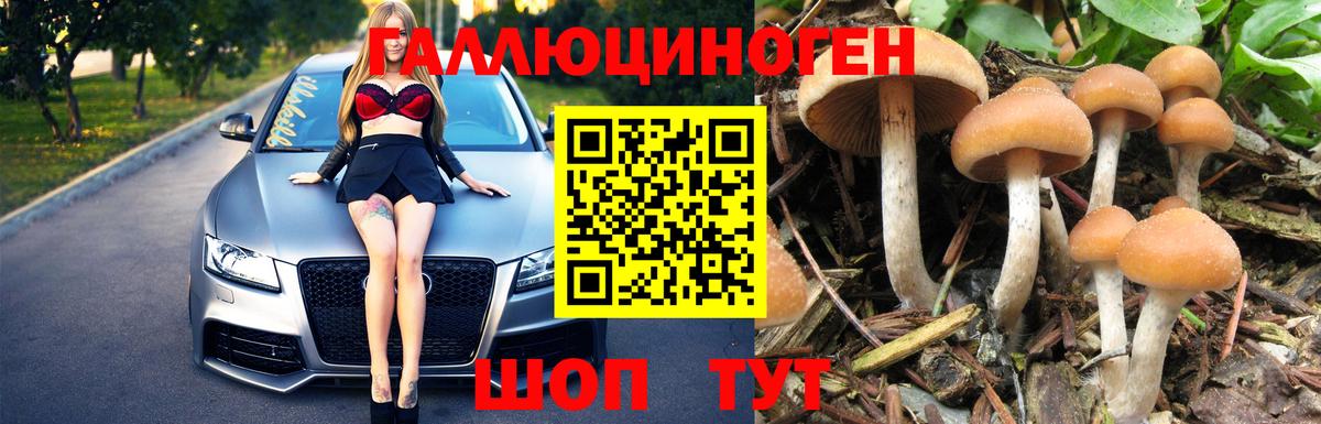 Галлюциногенные грибы мицелий Воскресенск